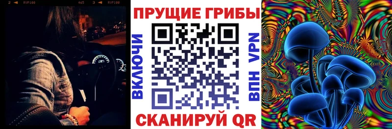 Псилоцибиновые грибы ЛСД  Фрязино 