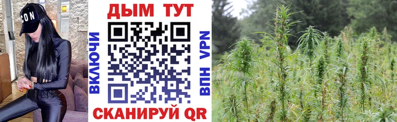 Бошки Шишки Amnesia  Фрязино 